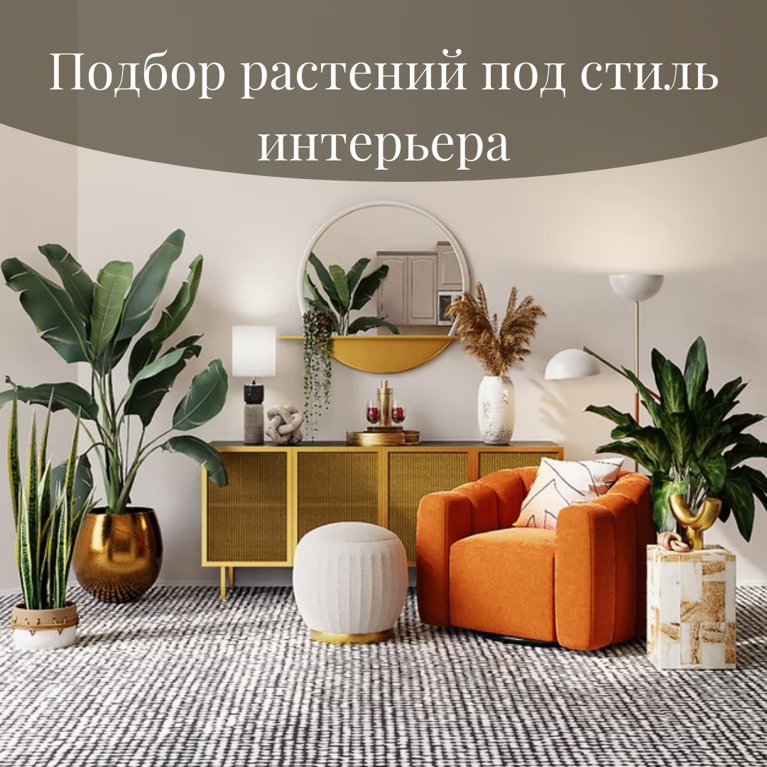 Как подобрать растения под стиль интерьера Как подобрать растения под стиль интерьера
