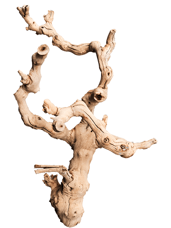 Decoration Branch ×30 см