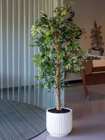 Ionic Arcus XS Шёлковистый Белый D33×30 см