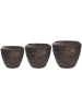 Каскара Горшок Бронзовый Набор Из 3 D111×91 см