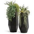TREEZ Effectory - Crystal