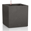 Canto Stone low