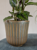 Roger Горшок Thyme D8×7 см