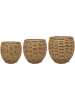 Jet Горшок Натуральный Набор Из 3 D55×46 см