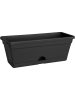Зелёный Basics Trough Мини Живой Чёрный 12×30×11 см