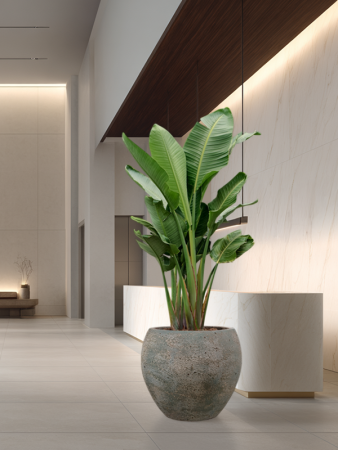 Baq Sandora Шар Зелёный D60×55 см