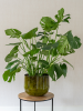 Emmie Горшок Мистический Жёлтый D31×25 см