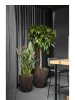 Bosco Горшок Merah Цвет Коры D60×65 см