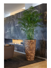 Bosco Ваза Coconut D57×120 см