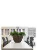 Bosco Чаша Плюс Цвет Коры D55×40 см