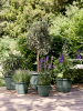 Амига Раунд Зелёный Thyme D35×26 см