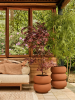 Premium Amber Roll Низкий Karamel D43×40 см