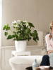 Брюссель ® Раунд Белый D16×15 см