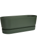 Гринвилл Trough Длинный Листовой Зелёный 48×19×17 см