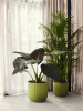 Вайбс Fold Раунд Зелёный Fern D39×36 см