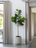 Кашпо Cement & stone harith high l beige washed D53 H68 см