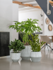 Рифленый Джеслин XXS Белый Stripe D33×29 см
