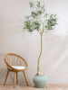Средиземноморский Зевс S, Rustic Зелёный D37×32 см