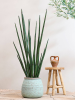 Средиземноморский Гестия S, Rustic Зелёный D32×28 см
