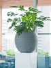Рифленый Horizontally Эбби L Тёмно-серый D51×44 см