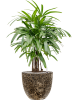 Baq Лавовый Купелла Реликтовый Чёрный D36×34 см