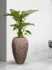 Baq Лавовый Император Реликтовый Розовый D45×75 см