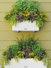 Кашпо Lechuza "Balconera Cottage 40 Complete white" (пластик), 40x19xH19 см