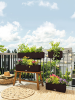 Кашпо Lechuza "Balconera Cottage 40 Complete mocha" (пластик), 40x19xH19 см