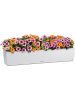 Кашпо Lechuza "Balconera Stone 100 Complete quarz white" (пластик), 100x19xH19 см