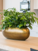 Baq Металлик Серебристый Leaf Лодка Матовый Медовый 75×30×25 см