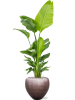Baq Металлик Серебристый Leaf Купелла Матовый Кофейный С Вкладышем D50×45 см