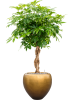Baq Металлик Серебристый Leaf Купелла Матовый Медовый С Вкладышем D50×45 см
