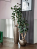 Baq Опус Hammered Компаньон Золотой С Вкладышем D35×75 см