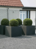 Vepo Адения Квадрат Антрацитовый 80×80×80 см