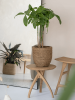Богемия Коди S Straw Grass D22×20 см