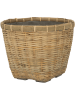 Богемия Энрико L Бамбук 50×41 см