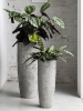 Ойстер Дакс XXL Имперский Белый D46×118 см