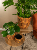 Mayk Горшок Colour Вайбс D20×22 см