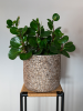 Кашпо Maxim pot shiny sand D24 H22 см