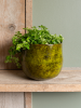 Emmie Горшок Мистический Жёлтый D31×25 см