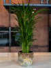 Fern Горшок Camouflage D13×12 см