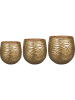 Marlie Горшок Золотой Набор Из 3 D36×33 см