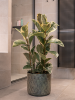 Nicke Горшок Thyme Набор Из 4 D34×31 см