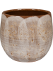 Suus Горшок Латте D19×16 см