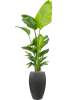 Baq Капля Дождя Император Антрацитовый D37×60 см