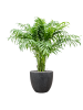 Baq Капля Дождя Купелла Антрацитовый D37×33 см