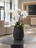 Baq Капля Дождя Купелла Антрацитовый D22×22 см