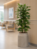 Кашпо Baq raindrop cylinder beige D48 H52 см