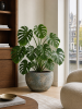 Baq Sandora Чаша Зелёный D40×24 см