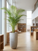 Baq Seren Bay Ashen D40×75 см